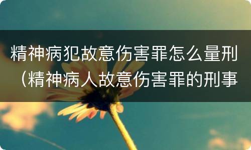 精神病犯故意伤害罪怎么量刑（精神病人故意伤害罪的刑事程序）