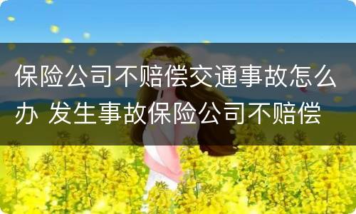 保险公司不赔偿交通事故怎么办 发生事故保险公司不赔偿