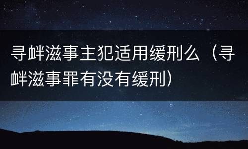 寻衅滋事主犯适用缓刑么（寻衅滋事罪有没有缓刑）