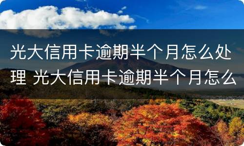 光大信用卡逾期半个月怎么处理 光大信用卡逾期半个月怎么处理好