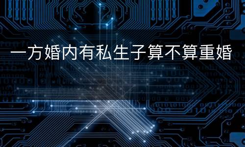 一方婚内有私生子算不算重婚