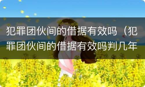 犯罪团伙间的借据有效吗（犯罪团伙间的借据有效吗判几年）