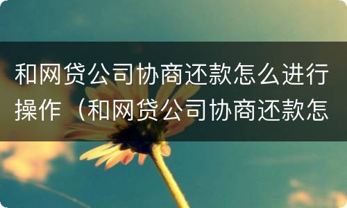 和网贷公司协商还款怎么进行操作（和网贷公司协商还款怎么进行操作的）