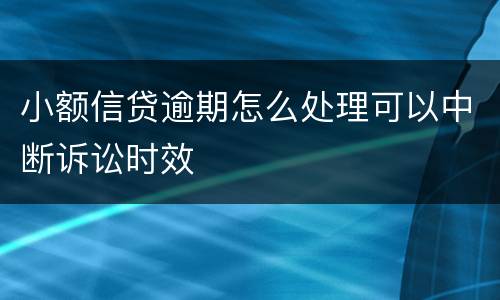 小额信贷逾期怎么处理可以中断诉讼时效