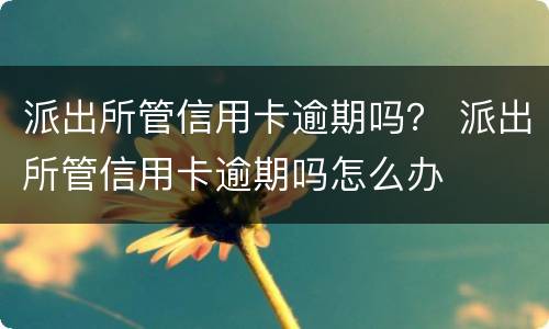 派出所管信用卡逾期吗？ 派出所管信用卡逾期吗怎么办
