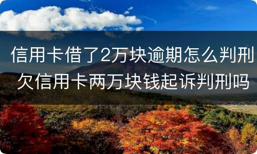 信用卡借了2万块逾期怎么判刑 欠信用卡两万块钱起诉判刑吗