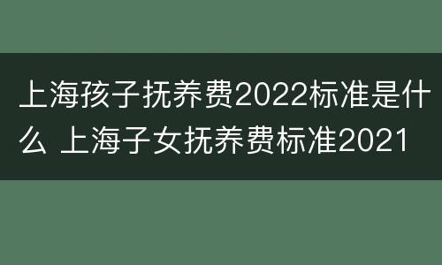 上海孩子抚养费2022标准是什么 上海子女抚养费标准2021