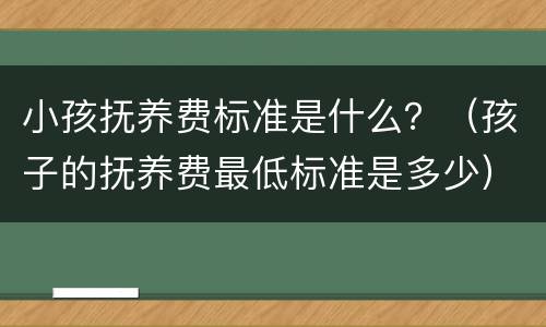 小孩抚养费标准是什么？（孩子的抚养费最低标准是多少）