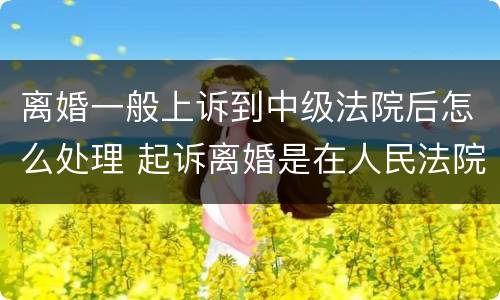 离婚一般上诉到中级法院后怎么处理 起诉离婚是在人民法院还是在中级人民法院