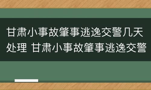 甘肃小事故肇事逃逸交警几天处理 甘肃小事故肇事逃逸交警几天处理完