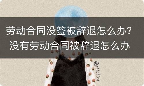 劳动合同没签被辞退怎么办？ 没有劳动合同被辞退怎么办