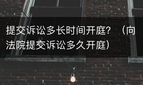 提交诉讼多长时间开庭？（向法院提交诉讼多久开庭）