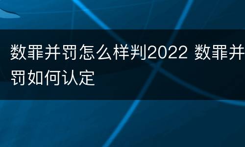 数罪并罚怎么样判2022 数罪并罚如何认定