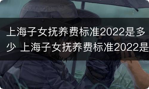 上海子女抚养费标准2022是多少 上海子女抚养费标准2022是多少钱一个月