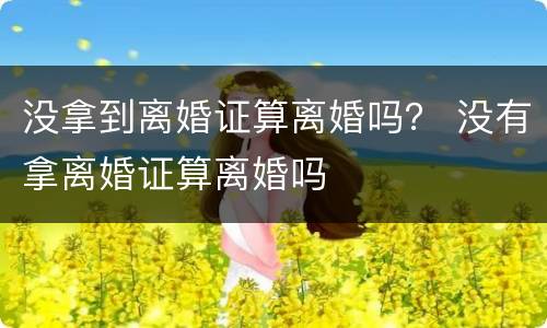 没拿到离婚证算离婚吗？ 没有拿离婚证算离婚吗