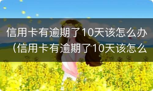 信用卡有逾期了10天该怎么办（信用卡有逾期了10天该怎么办理）