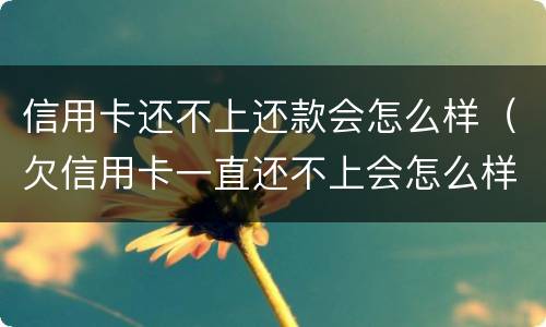 信用卡还不上还款会怎么样（欠信用卡一直还不上会怎么样）