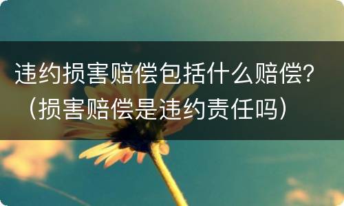 违约损害赔偿包括什么赔偿？（损害赔偿是违约责任吗）