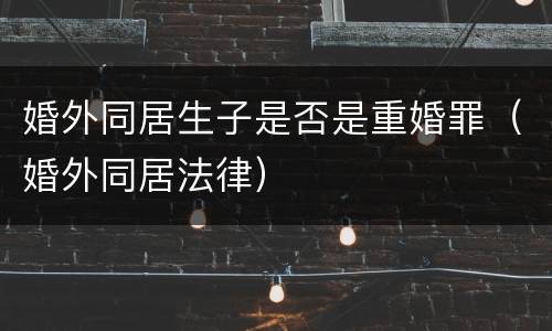 婚外同居生子是否是重婚罪（婚外同居法律）