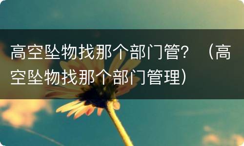 高空坠物找那个部门管？（高空坠物找那个部门管理）