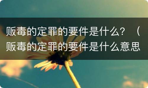 贩毒的定罪的要件是什么？（贩毒的定罪的要件是什么意思）