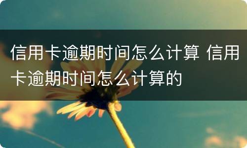 信用卡逾期时间怎么计算 信用卡逾期时间怎么计算的