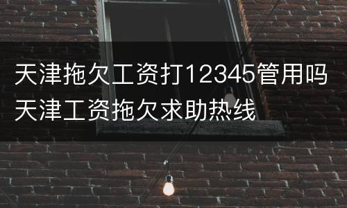 天津拖欠工资打12345管用吗 天津工资拖欠求助热线