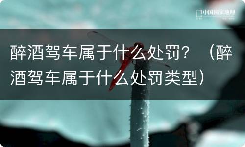 醉酒驾车属于什么处罚？（醉酒驾车属于什么处罚类型）