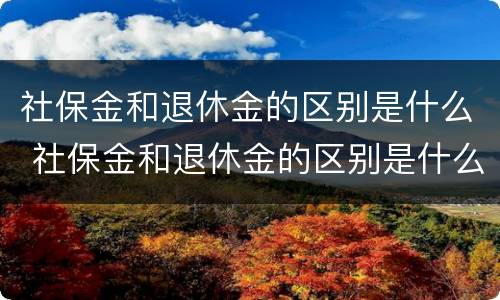 社保金和退休金的区别是什么 社保金和退休金的区别是什么呢