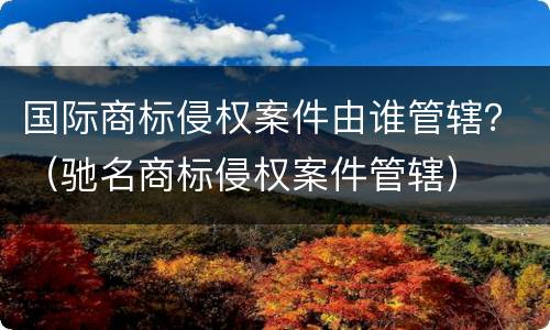 国际商标侵权案件由谁管辖？（驰名商标侵权案件管辖）