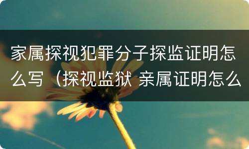 家属探视犯罪分子探监证明怎么写（探视监狱 亲属证明怎么写）