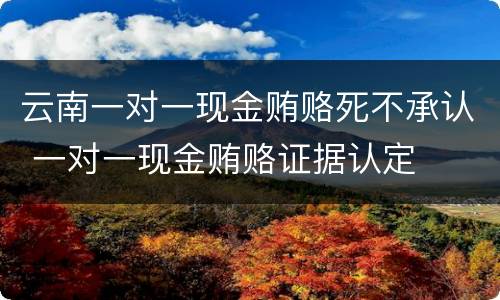云南一对一现金贿赂死不承认 一对一现金贿赂证据认定