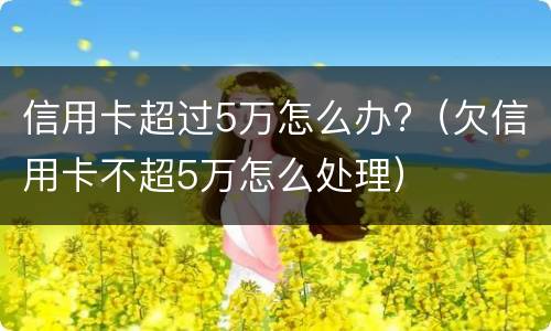 信用卡超过5万怎么办?（欠信用卡不超5万怎么处理）