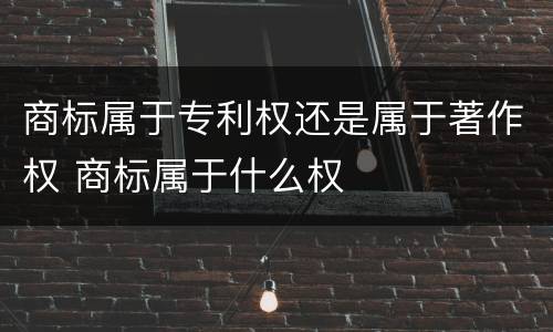 商标属于专利权还是属于著作权 商标属于什么权