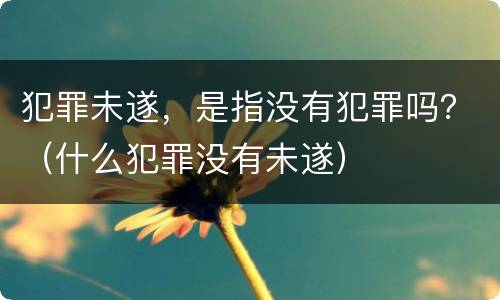 犯罪未遂，是指没有犯罪吗？（什么犯罪没有未遂）