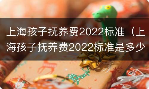 上海孩子抚养费2022标准（上海孩子抚养费2022标准是多少钱）