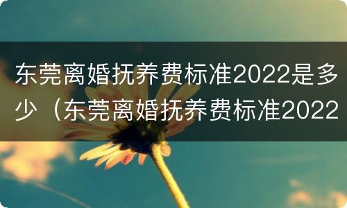 东莞离婚抚养费标准2022是多少（东莞离婚抚养费标准2022是多少呢）