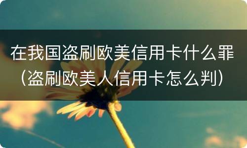 在我国盗刷欧美信用卡什么罪（盗刷欧美人信用卡怎么判）