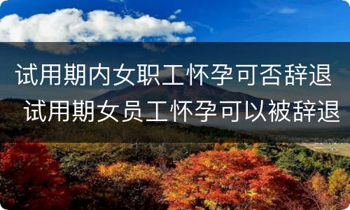 试用期内女职工怀孕可否辞退 试用期女员工怀孕可以被辞退吗