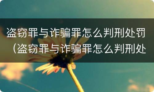 盗窃罪与诈骗罪怎么判刑处罚（盗窃罪与诈骗罪怎么判刑处罚区别）