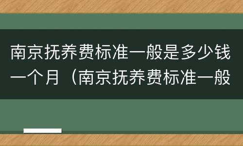 南京抚养费标准一般是多少钱一个月（南京抚养费标准一般是多少钱一个月的）