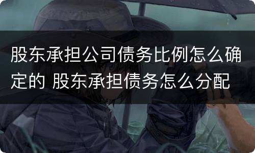 股东承担公司债务比例怎么确定的 股东承担债务怎么分配