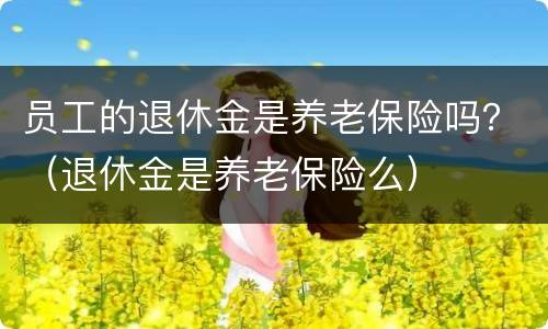 员工的退休金是养老保险吗？（退休金是养老保险么）