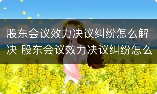 股东会议效力决议纠纷怎么解决 股东会议效力决议纠纷怎么解决问题