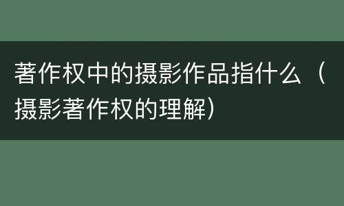 著作权中的摄影作品指什么（摄影著作权的理解）