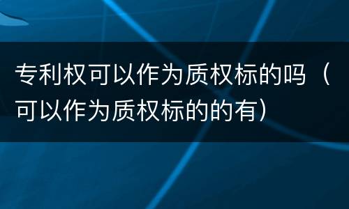专利权可以作为质权标的吗（可以作为质权标的的有）