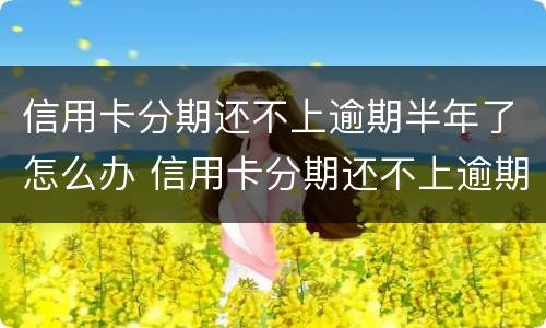 信用卡分期还不上逾期半年了怎么办 信用卡分期还不上逾期半年了怎么办呢