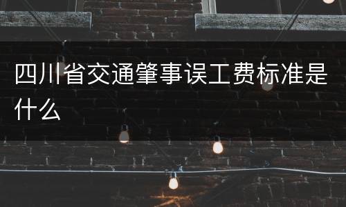 四川省交通肇事误工费标准是什么