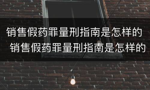 销售假药罪量刑指南是怎样的 销售假药罪量刑指南是怎样的法律