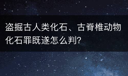 盗掘古人类化石、古脊椎动物化石罪既遂怎么判？